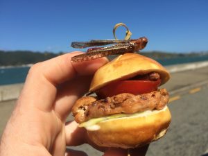 Locust Patty Sandwich with Ant Aoili, served by Te Papa Museum