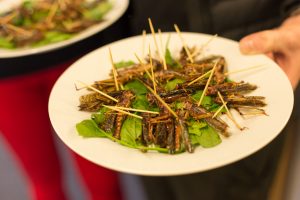Flash Fried NZ Locusts, served at TEDx Christchurch