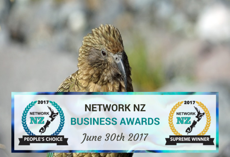 network nz business awards
