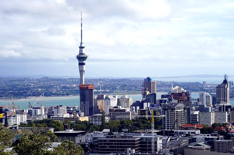 auckland city construction