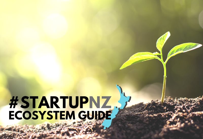 startup nz ecosystem